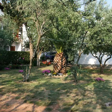 Apartment Apartments With A Parking Space Povljana, Pag - 226 *
